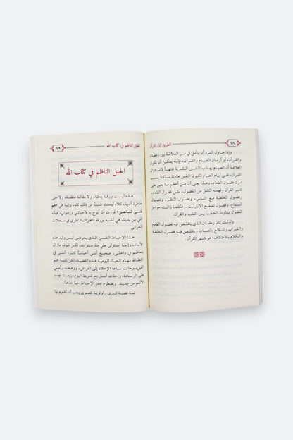 الطريق إلى القرآن - إبراهيم السكران